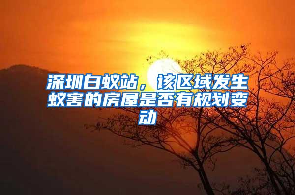 深圳白蟻站，該區(qū)域發(fā)生蟻害的房屋是否有規(guī)劃變動
