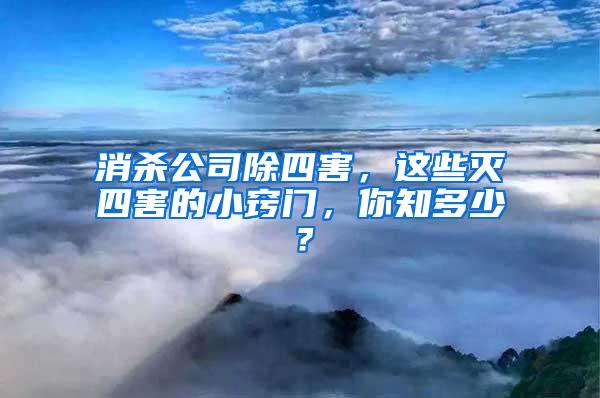 消殺公司除四害，這些滅四害的小竅門，你知多少？