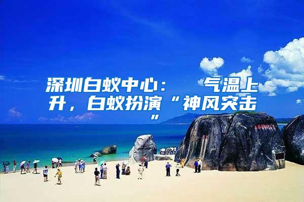 深圳白蟻中心：  氣溫上升，白蟻扮演“神風(fēng)突擊”
