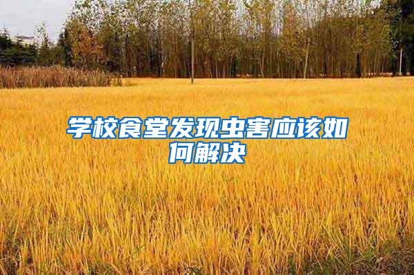 學(xué)校食堂發(fā)現(xiàn)蟲(chóng)害應(yīng)該如何解決