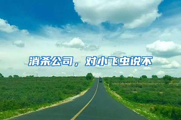消殺公司，對小飛蟲說不