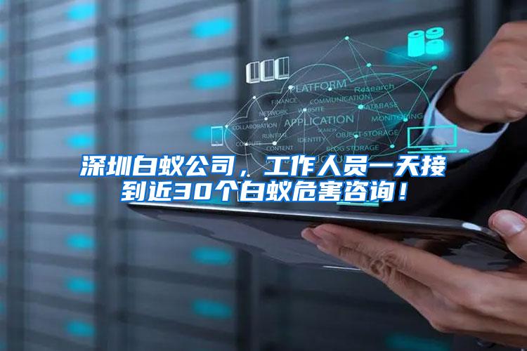 深圳白蟻公司，工作人員一天接到近30個(gè)白蟻危害咨詢！