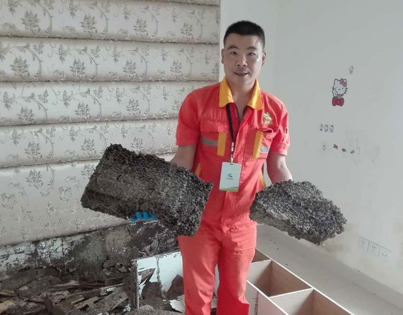 家庭白蟻消殺施工作業(yè)現(xiàn)場